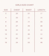 KD462- Embroidery Mesh Half Sleeve Dress