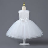 Designer Dresses