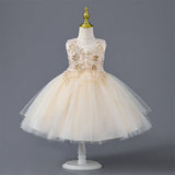 Designer Dresses