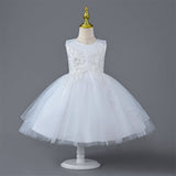 Designer Dresses