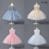 Designer Dresses